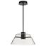 Edmond 17 Inch LED Pendant Matte Black w/ Clear Glass