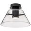 Edmond 14 Inch LED Semi Flush Matte Black w/ Clear Glass