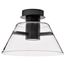 Edmond 14 Inch LED Semi Flush Matte Black w/ Clear Glass