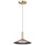Corrine 10 Inch LED Pendant Burnished Brass 3K/4K/5K CCT Selectable