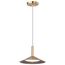 Corrine 10 Inch LED Pendant Burnished Brass 3K/4K/5K CCT Selectable