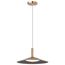 Corrine 14 Inch LED Pendant Burnished Brass 3K/4K/5K CCT Selectable