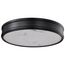 Kendall 14 Inch LED Flush Mount Matte Black w/ Alabaster Glass