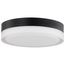 Pi 11" Flush Mount LED Fixture Black Finish w/ Etched Glass