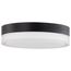 Pi 11" Flush Mount LED Fixture Black Finish w/ Etched Glass