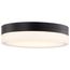Pi 11" Flush Mount LED Fixture Black Finish w/ Etched Glass