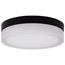 Pi 9 Inch LED Flush Mount Black Finish Frosted Etched Glass CCT Selectable 120 Volts
