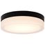 Pi 9 Inch LED Flush Mount Black Finish Frosted Etched Glass CCT Selectable 120 Volts
