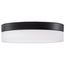 Pi 9 Inch LED Flush Mount Black Finish Frosted Etched Glass CCT Selectable 120 Volts
