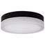 Pi 11 Inch LED Flush Mount Black Finish Frosted Etched Glass CCT Selectable 120 Volts