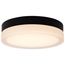 Pi 11 Inch LED Flush Mount Black Finish Frosted Etched Glass CCT Selectable 120 Volts