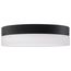 Pi 11 Inch LED Flush Mount Black Finish Frosted Etched Glass CCT Selectable 120 Volts