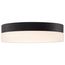Pi 11 Inch LED Flush Mount Black Finish Frosted Etched Glass CCT Selectable 120 Volts
