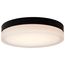 Pi 14 Inch LED Flush Mount Black Finish Frosted Etched Glass CCT Selectable 120 Volts