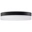 Pi 14 Inch LED Flush Mount Black Finish Frosted Etched Glass CCT Selectable 120 Volts