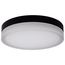 Pi 14 Inch LED Flush Mount Black Finish Frosted Etched Glass CCT Selectable 120 Volts