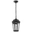 East River Collection 1 Light Outdoor Hanging Fixture LED SMART Starfish RGBTW CCT Selectable Matte Black Clear Water Glass