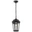 East River Collection 1 Light Outdoor Hanging Fixture LED SMART Starfish RGBTW CCT Selectable Matte Black Clear Water Glass