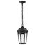 East River Collection 1 Light Outdoor Hanging Fixture LED SMART Starfish RGBTW CCT Selectable Matte Black Clear Water Glass