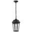 East River Collection 1 Light Outdoor Hanging Fixture LED SMART Starfish RGBTW CCT Selectable Matte Black Clear Water Glass