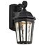 East River Collection 1 Light Outdoor Small Wall Fixture LED SMART Starfish RGBTW CCT Selectable Matte Black Clear Water Glass