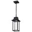 Austen Collection 1 Light Outdoor Hanging Fixture LED SMART Starfish RGBTW CCT Selectable Matte Black Clear Water Glass
