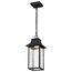 Austen Collection 1 Light Outdoor Hanging Fixture LED SMART Starfish RGBTW CCT Selectable Matte Black Clear Water Glass