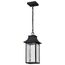 Austen Collection 1 Light Outdoor Hanging Fixture LED SMART Starfish RGBTW CCT Selectable Matte Black Clear Water Glass