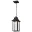 Austen Collection 1 Light Outdoor Hanging Fixture LED SMART Starfish RGBTW CCT Selectable Matte Black Clear Water Glass