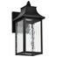 Austen Collection 1 Light Outdoor Small Wall Fixture LED SMART Starfish RGBTW CCT Selectable Matte Black Clear Water Glass