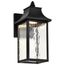 Austen Collection 1 Light Outdoor Small Wall Fixture LED SMART Starfish RGBTW CCT Selectable Matte Black Clear Water Glass