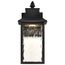 Austen Collection 1 Light Outdoor Small Wall Fixture LED SMART Starfish RGBTW CCT Selectable Matte Black Clear Water Glass