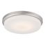 Dale LED Flush Fixture w/ Opal Frosted Glass