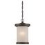 Diego LED Outdoor Hanging w/ Satin Amber Glass