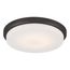 Dale LED Flush Fixture w/ Opal Frosted Glass
