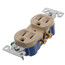 Ivory Residential Electrical Duplex Receptacle (15A, 125V)