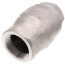 2" Threaded Stainless Steel Spring Check Valve