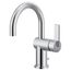 Cia 1 Handle High Arc Bathroom Faucet (Chrome), 6221