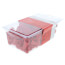 Red Screw-On Wire Connectors, 18-10 AWG (Pack of 100)