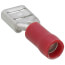 Insulated Female Slip-On Solderless Terminal, 22-18 AWG, Tab Size .25 (22 Pack)
