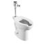 Ultima Selectronic Exposed Toilet Flush Valve, Diaphragm Type, Battery, 1.28 gpf/4.8 Lpf (Chrome)