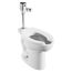 Ultima Selectronic Exposed Toilet Flush Valve, Diaphragm Type, Battery, Dual Flush 1.28/1.1 gpf (4.8/4.2 Lpf) (Chrome)