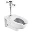 Ultima Selectronic Exposed Toilet Flush Valve, Diaphragm Type, Base Model, 1.28 gpf/4.8 Lpf (Chrome)