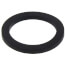 1" Union Gasket