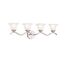 Dover 30.5" 4 Light Vanity Light w/ Etched Seeded Glass (Brushed Nickel)