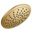 Brushed Gold 1 Function 8" Diameter Spray Head Standard, 6345BG