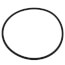 Aqua-Pure O-Ring, for AP11 & AP101