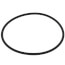 Aqua-Pure O-Ring, for AP11 & AP101