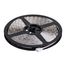Dimension Pro Tape light strip 16 ft. Hi-Output RGB plus Tunable White Plug connection Starfish IOT Included