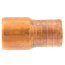 PowerPEX 1" PEX x 3/4" Female Sweat Copper Pipe Adapter (Lead Free)